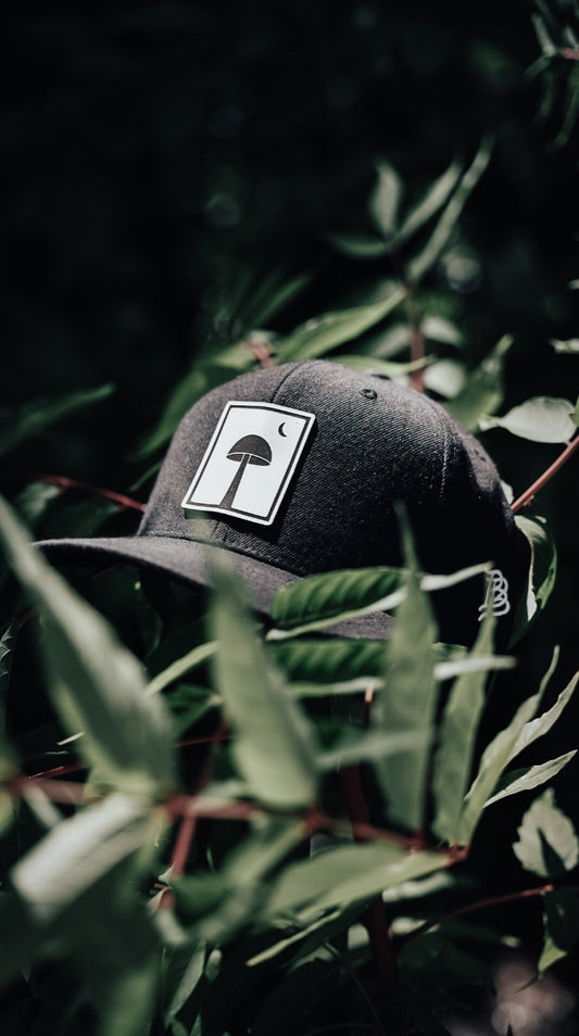 SnapBack Hat - White Logo Leather Patch